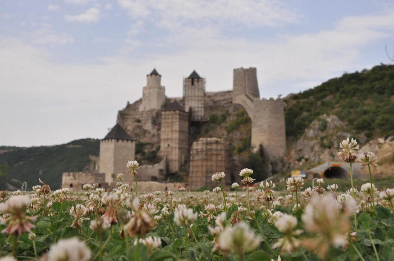 Stara Kovacnica Villa Golubac Buitenkant foto