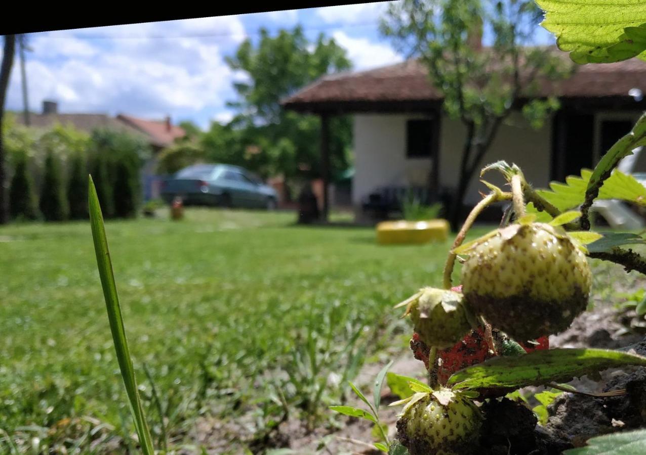 Stara Kovacnica Villa Golubac Buitenkant foto
