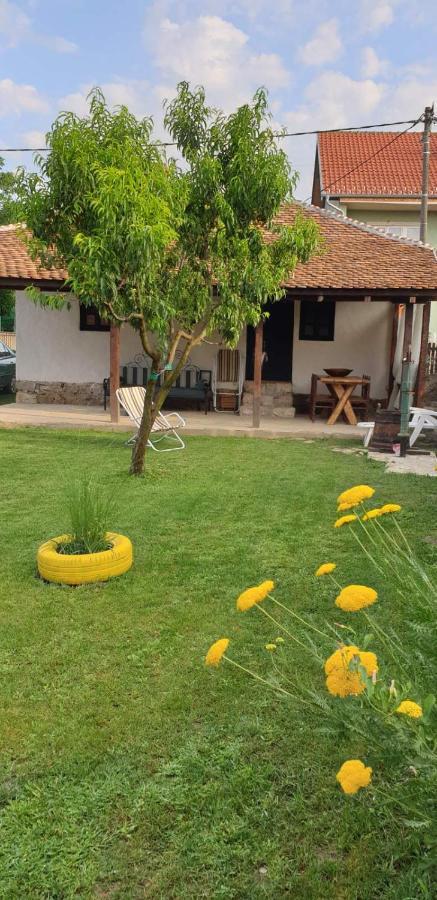 Stara Kovacnica Villa Golubac Buitenkant foto