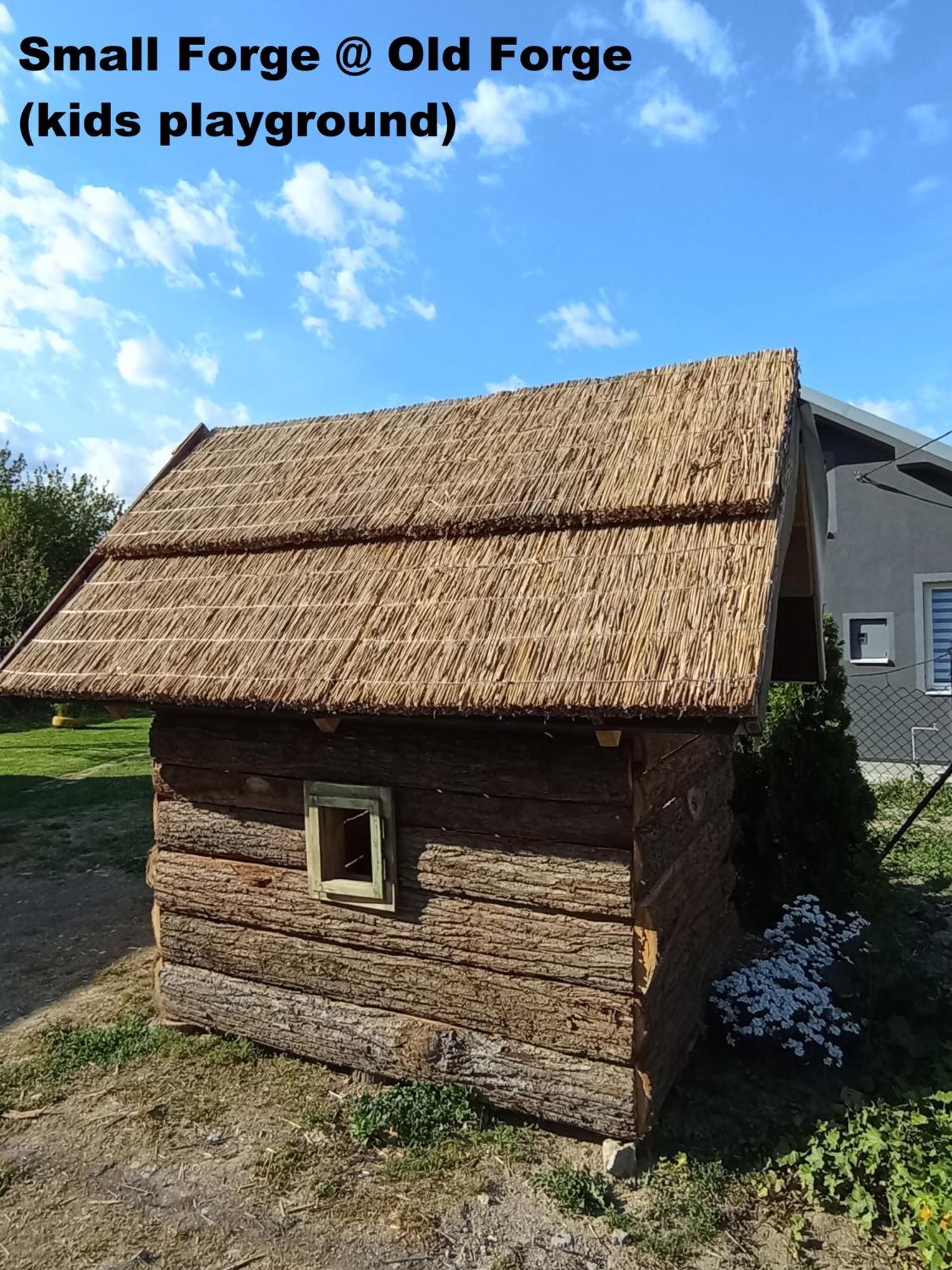 Stara Kovacnica Villa Golubac Buitenkant foto